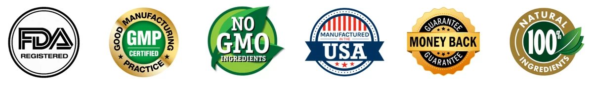 NeuroXen Certifications